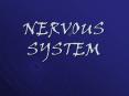 NERVOUS SYSTEM