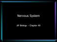 Nervous System