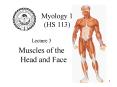 Muscles of the Face