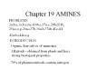 Chapter 19 AMINES