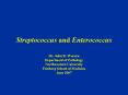 Streptococcus and Enterococcus