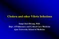 Cholera and other Vibrio Infections