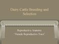 Dairy Cattle Breeding and Selection