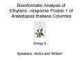 Bioinformatic Analysis of Ethylene response Protein 1 of Arabidopsis thaliana Columbia