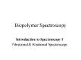 Biopolymer Spectroscopy