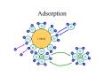 Adsorption