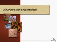 DNA Purification