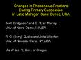 Changes in Phosphorus Fractions During Primary Succession in Lake Michigan Sand Dunes, USA