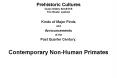 Prehistoric Cultures Class Slides Set