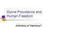 Divine Providence and Human Freedom