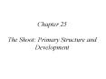 Chapter 25 The Shoot: Primary Structure and Development