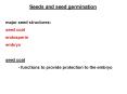 Seeds and seed germination