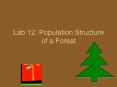 Lab 12: Population Structure of a Forest