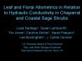 Leaf and Floral Allometrics in Relation to Hydraulic Conductivity in Chaparral and Coastal Sage Shru