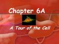 Chapter 6A