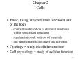 Chapter 2 Cells