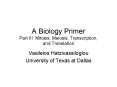 A Biology Primer Part III: Mitosis, Meiosis, Transcription, and Translation