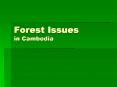 Forest Issues in Cambodia