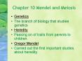 Chapter 10 Mendel and Meiosis