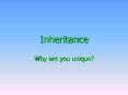Inheritance