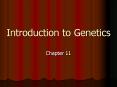 PPT – Introduction To Genetics PowerPoint Presentation | Free To View ...