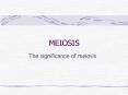 MEIOSIS
