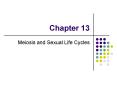 Meiosis and Sexual Life Cycles