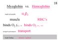 Myoglobin vs' Hemoglobin