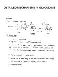 DETAILED MECHANISMS IN GLYCOLYSIS