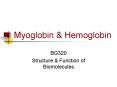 Myoglobin