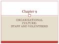 Organizational Culture: Staff and Volunteers