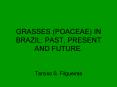 GRASSES POACEAE IN BRAZIL: PAST, PRESENT AND FUTURE'