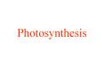 Photosynthesis