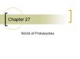 World of Prokaryotes
