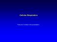 Cellular Respiration