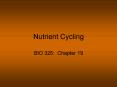 Nutrient Cycling