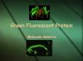 Green Fluorescent Protein