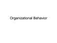 Organizational Behavior