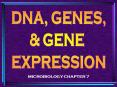 MICROBIOLOGY CHAPTER 7