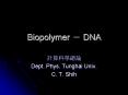 Biopolymer DNA