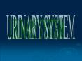 URINARY SYSTEM