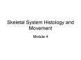 Skeletal System Histology and Movement