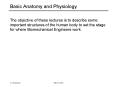 Basic Anatomy and Physiology