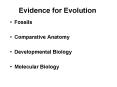 Evidence for Evolution