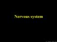Nervous system