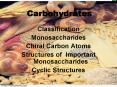 Carbohydrates