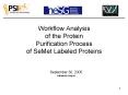 Workflow Analysis of the Protein Purification Process of SeMet Labeled Proteins