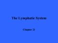 The Lymphatic System