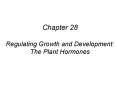Chapter 28 Regulating Growth and Development: The Plant Hormones