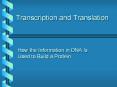Transcription and Translation